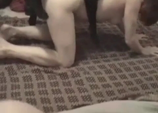 Tight wet cunt of a zoophile fucked by a boxer