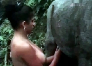 Filthy zoophile is enjoying big animal cocks