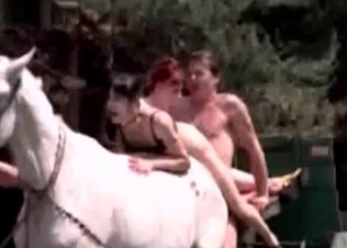 Horse butthole fucked from behind