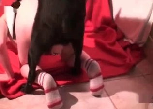 Penetrated by a pet