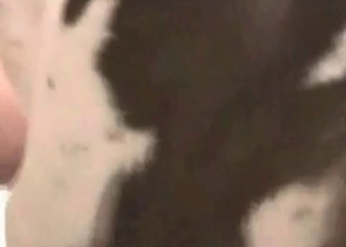 Black-haired beauty fucked by a trained beast
