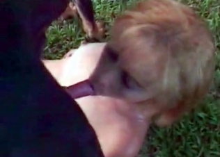 Trained animal pound a lovely wife