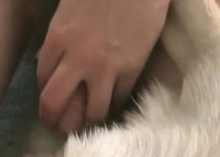 Trained doggy in the amateur bestiality porn