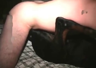 Doggy is getting fucked by a male zoophile