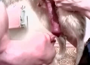 This doggy cock is looking little bit weird