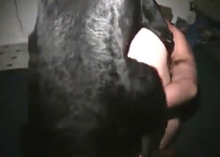 Good horny gift for a lovely doggy