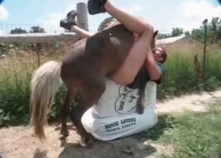 Anal sex with a perverted zoophile