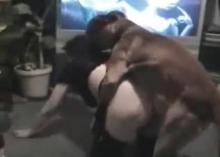 Tight snatch fucked hard by a massive trained doggy