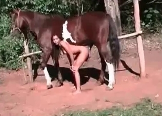 Horse bestiality action scene at the old farm