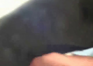 Pussy sucked by a lovely doggy