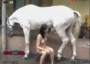 Filthy as fuck orgasm in the farm bestiality