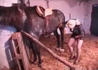 Farm animal fucks with a chubby mommy