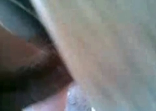 My cock is looking nice in this stallion