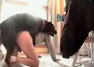 Dog bestiality action with a playful zoophile