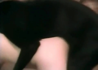 Doggy plays with an awesome blonde zoophile