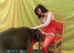 Trained black doggy and Japanese zoophile