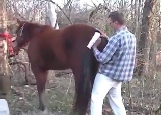 Farm bestial action with a trained animal