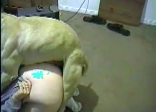 Doggy is giving a good oral job