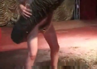 Naked zoophil is enjoying an elephant