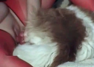 Sweet action with an awesome doggy