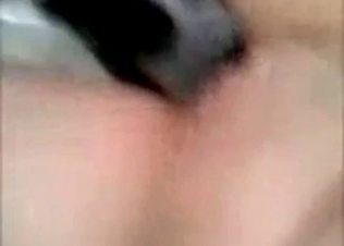 Dog is tasting a zoophilic pussy