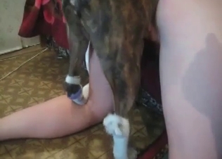 Crazy zoofiles are enjoying bestiality