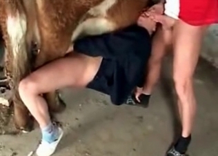 Impressive farm bestiality with a trained animal
