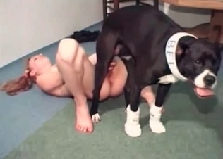 Wet snatch penetrated by a trained dog