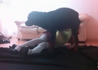 Schoolgirl fucked hard by a cur
