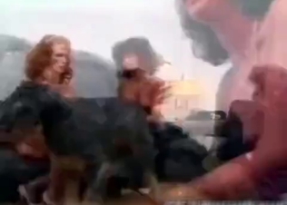Zoophilic family and their pet