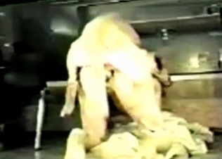 Anal sex in the dirty bestiality style
