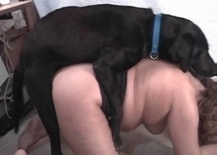 Crazy puppy and lusty as hell zoophile slut