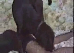 Sexy blonde is banging with a nice pet