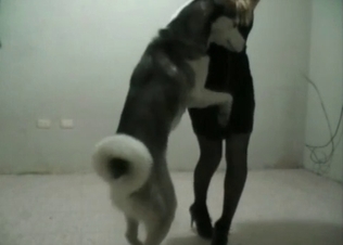 Sexy dog enjoying brutal banging