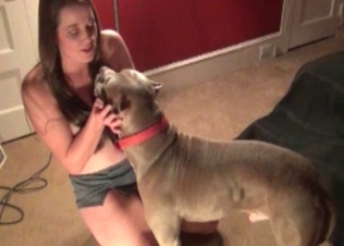White socks zoophile gets gaped