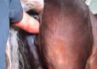 Nasty anal exploration in the farm bestiality