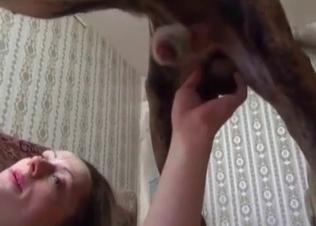 Strong hound can't stop banging its owner